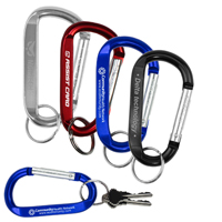 Large Size Carabiner Keyholder with Split Ring Attachment